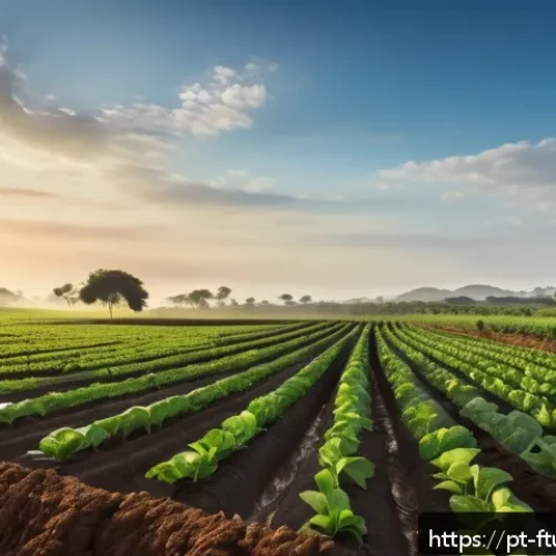 Home 29 전통 농업과 미래식품의 차이점 - A modern Brazilian family farm landscape at sunrise, featuring a farmer using a smartphone app to mo...